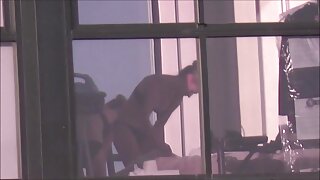 Las zorras se sienta ...