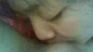 El profesor puso las ...